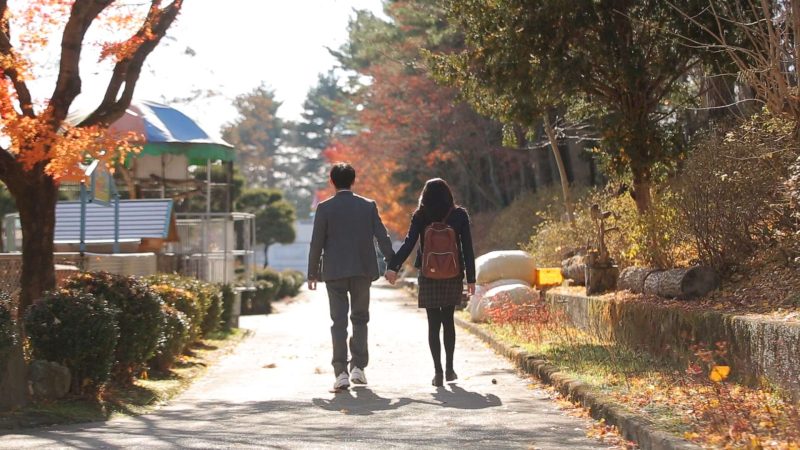 命中注定就是你v2025.6.5最新中文版下载 奇幻校园恋爱模拟高画质端游-锐品游戏库