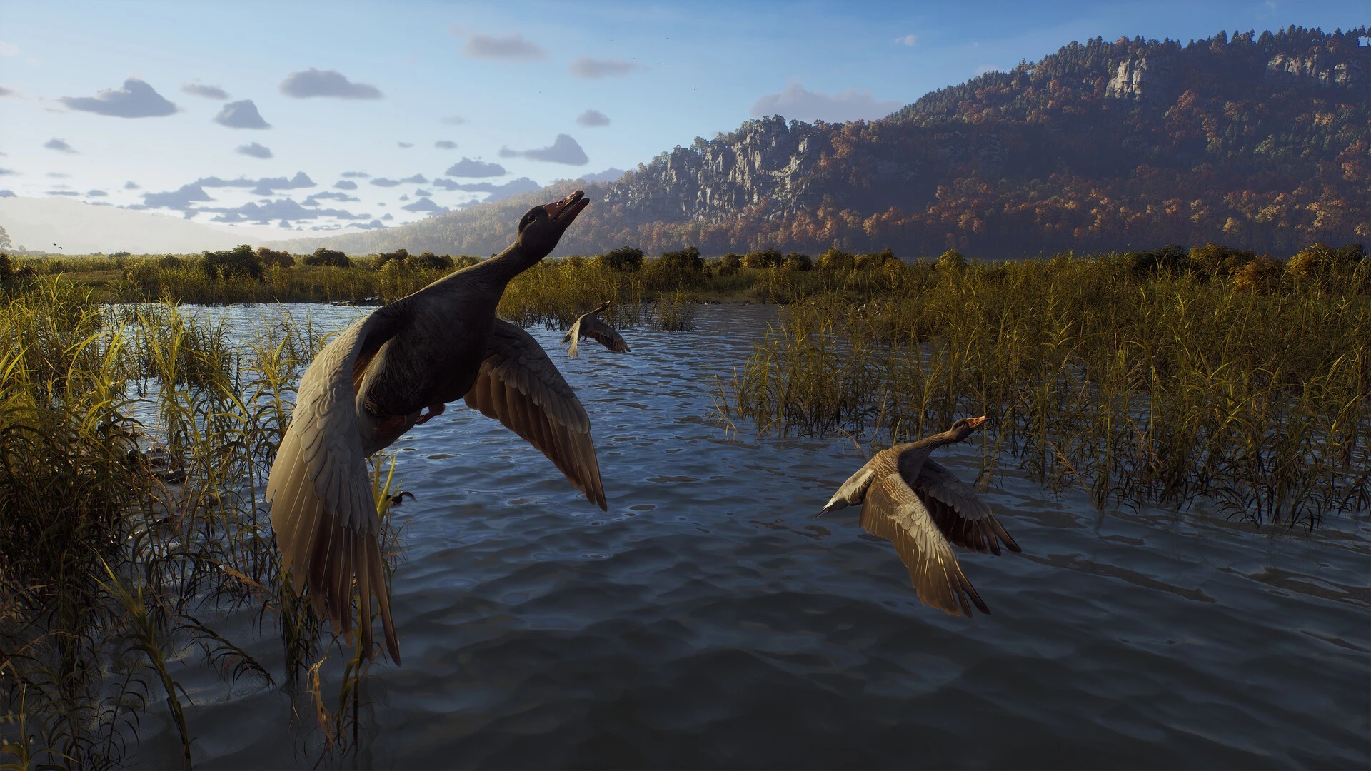 图片[2]-狩猎之道全DLC中文版高写实画质模拟狩猎游戏免费下载-锐品游戏库