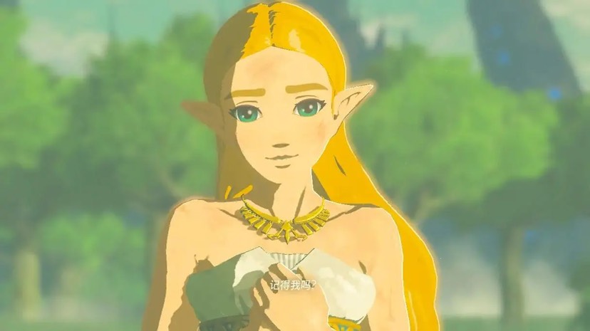 图片[4]-塞尔达传说旷野之息v1.6.0高画质中文整合版PC免费下载-锐品游戏库