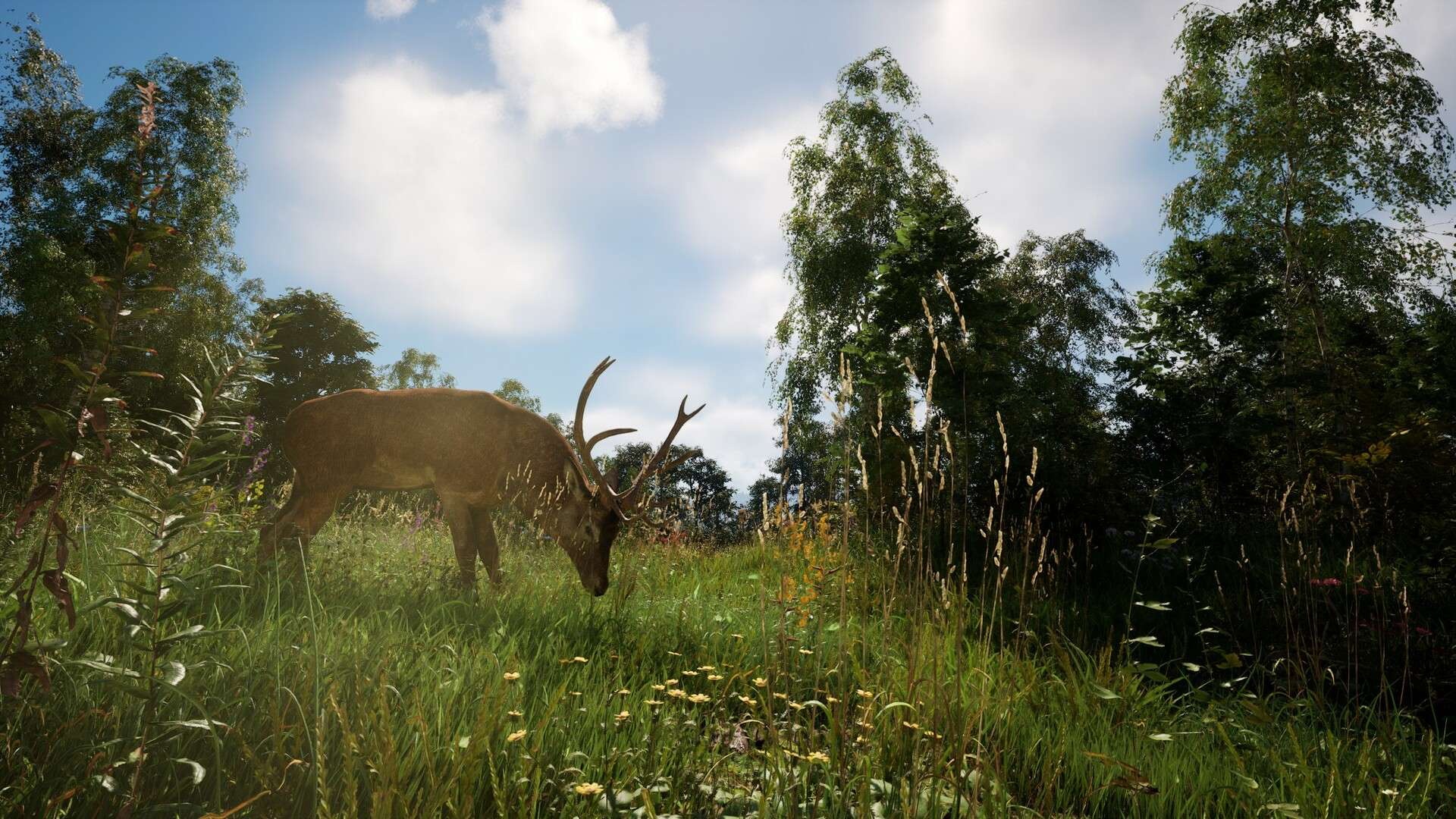 图片[1]-恐惧地带v1.5.8.2中文版高画质生存恐怖游戏端游免费下载-锐品游戏库