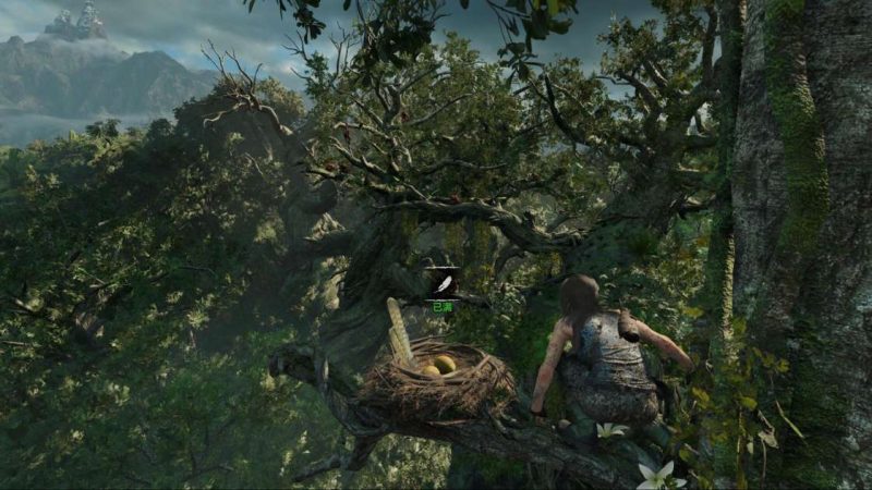 古墓丽影11暗影豪华中文版v1.0.492.0全DLC高画质免费下载-锐品游戏库