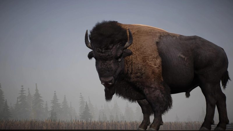 阿拉斯加卡车司机v20231215全DLC中文版高画质模拟驾驶游戏下载-锐品游戏库