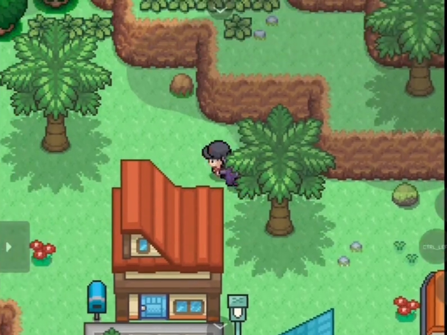 图片[1]-宝可梦宝珠守护者最新中文版动态精灵生存策略RPG下载-锐品游戏库