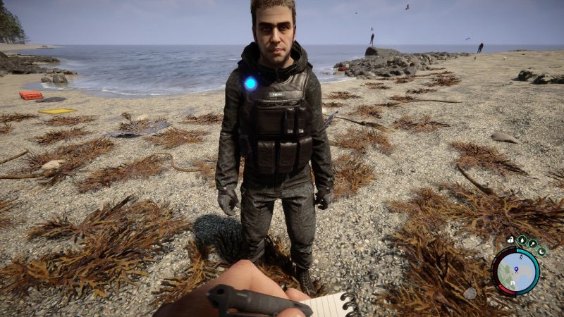 森林之子v53951最新中文版免安装联机生存游戏下载-锐品游戏库