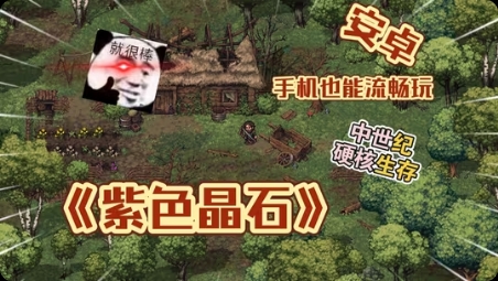 紫色晶石v9.0.2中文版高自由佣兵生存RPG手游免费下载-锐品游戏库