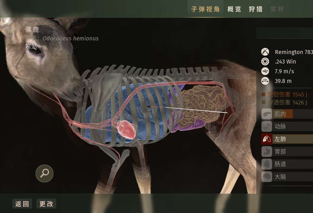 图片[4]-猎人之路v1.0.11中文版高画质开放世界狩猎手游免费下载-锐品游戏库