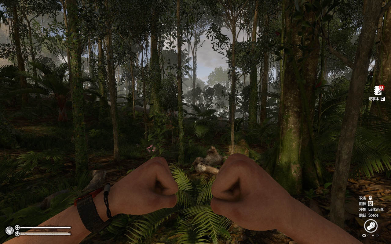 图片[2]-绿色地狱v2.9.4中文版高画质生存冒险游戏下载（PC最新版）-锐品游戏库