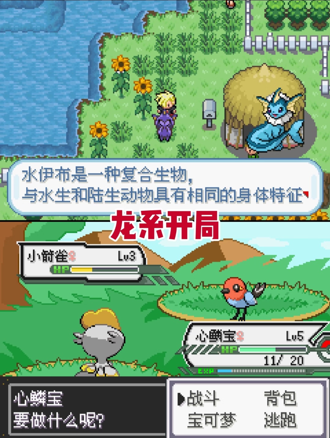 图片[2]-口袋妖怪龙之石3最新汉化版双端下载|Mega进化+全图鉴800+高画质剧情-锐品游戏库