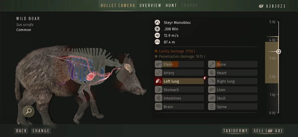 图片[4]-猎人之路狂野欧洲v1.0.11中文版高画质狩猎模拟手游免费下载-锐品游戏库