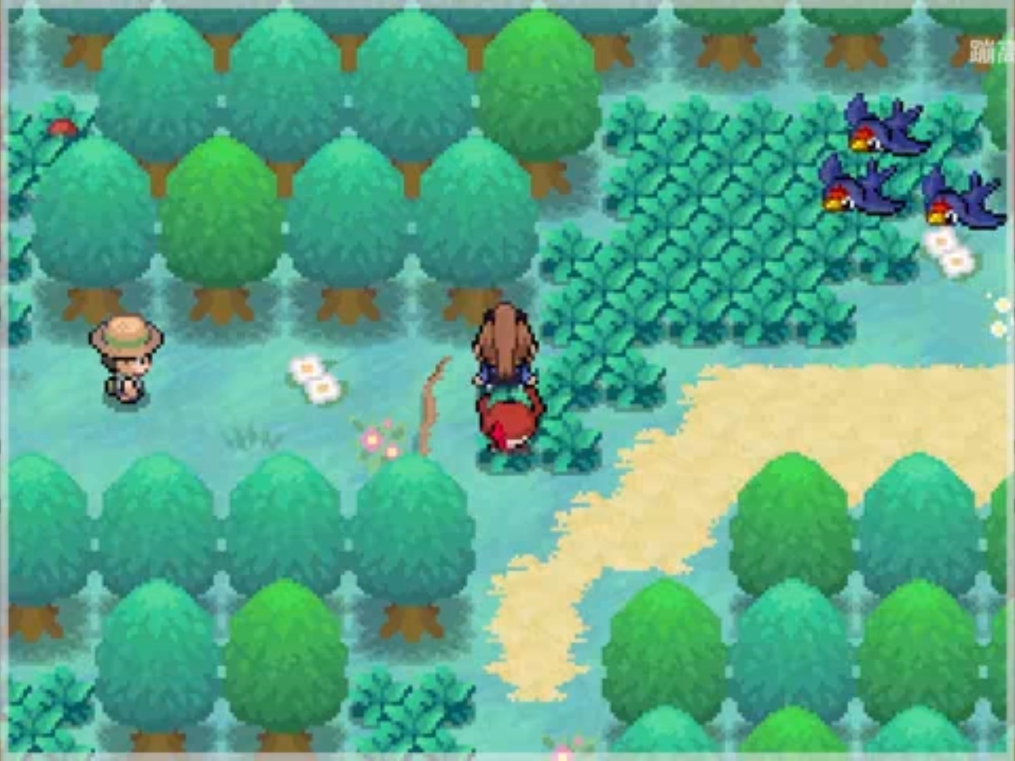 图片[3]-口袋妖怪教会最新中文版全九代精灵三重对战系统高画质下载-锐品游戏库