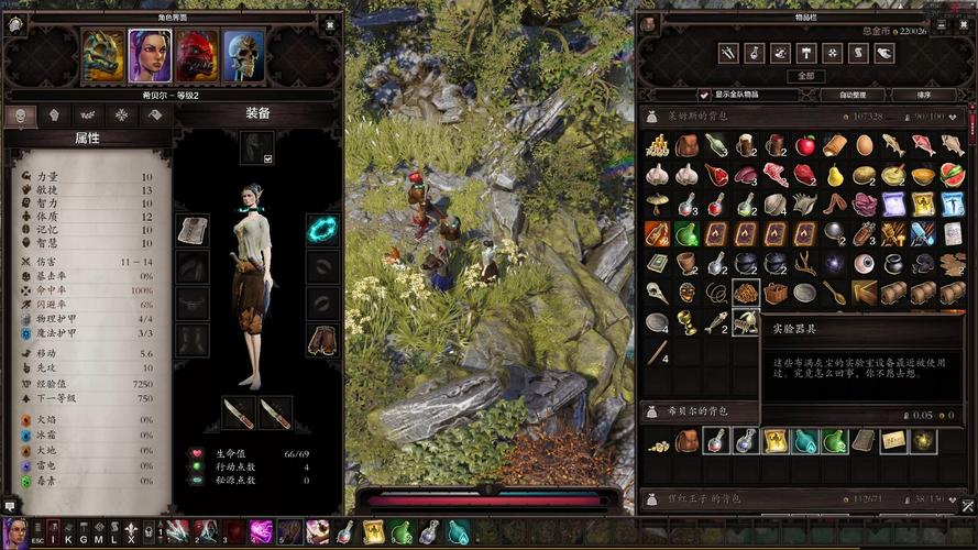 图片[5]-神界原罪2豪华中文全DLC高自由度RPG双端最新版免费下载-锐品游戏库