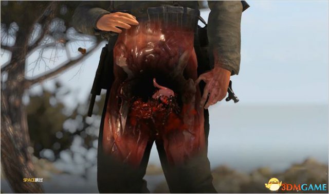 图片[5]-狙击精英4豪华中文全DLC双端高帧率下载-锐品游戏库